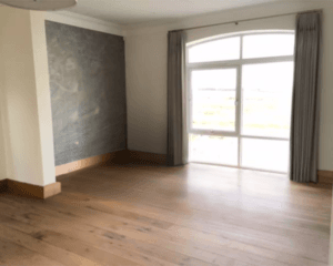 Low Resolution Edited Image (Furniture removed)